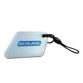 LF impermeabile T5577 RFID Etichetta epoxi Custom Key Fob Riscrivibile 125 KHz