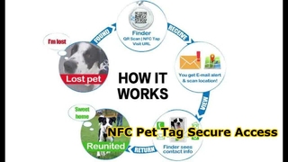 Etichetta per animali domestici RFID epossidica